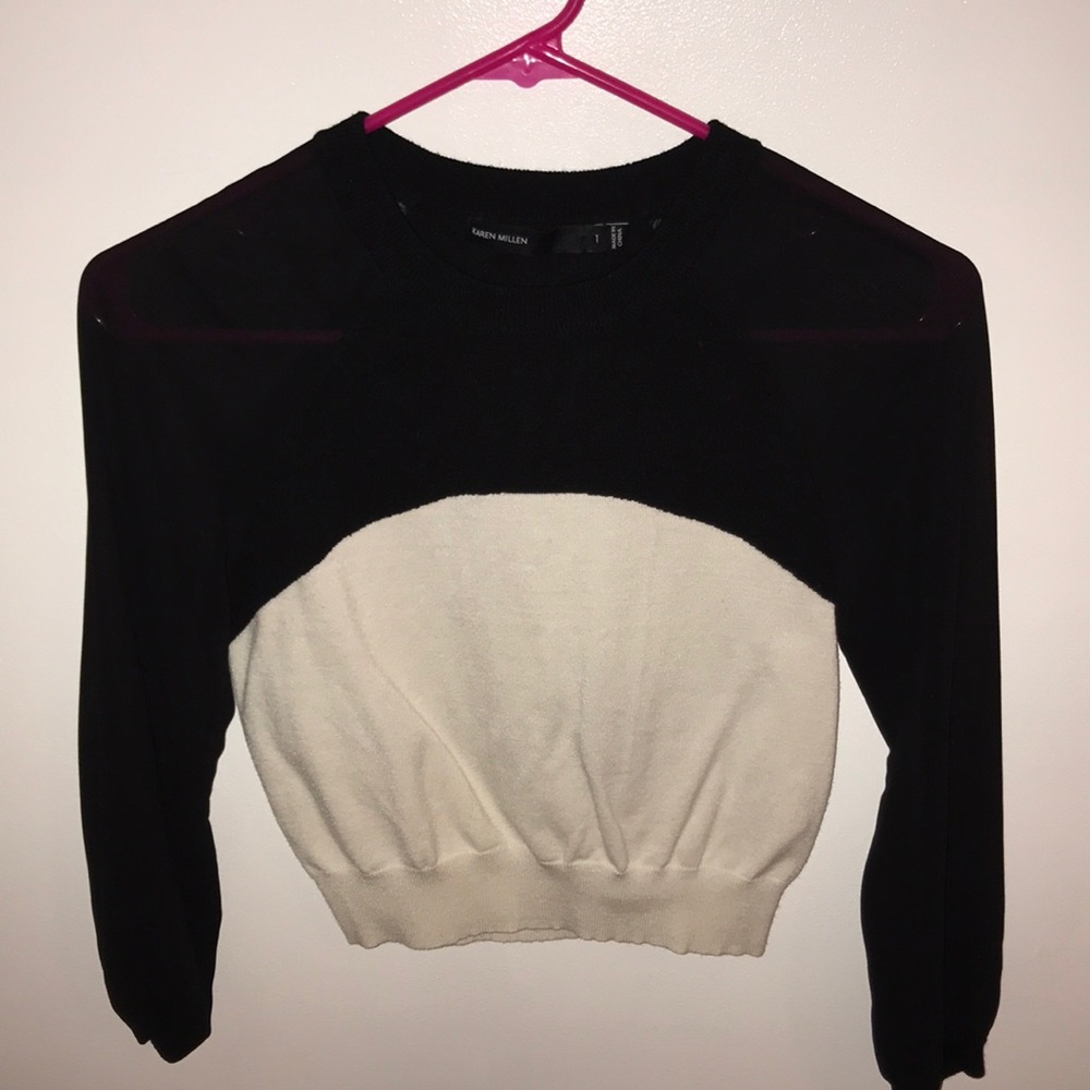 Sheer Sleeve 2 Tone Sweater